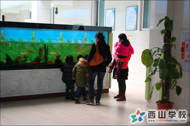 来园参观的家长和小朋友对园内巨型鱼缸很有爱