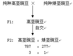 1.1ϵ¶㶹ӽ飨2ʱɽѧУв߶Ｏ̰