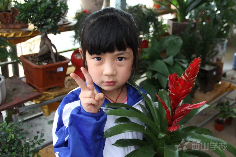 3.12植树节西山幼儿园开展“播种绿色,拥抱春天”户外拓展活动