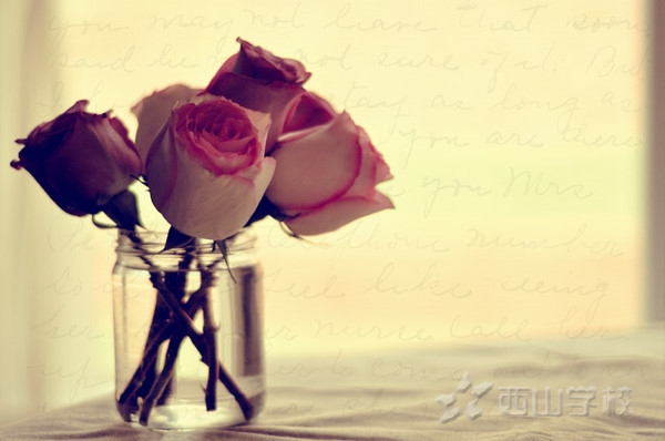 da21a578ef728b5e0dd7daf5.jpg