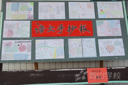 手抄报作品展示 手抄报作品展示